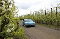 MG Bloesemrit op 24-4-2016 org. Jos&Marie-lou  (38)